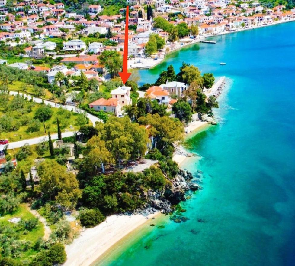 아피소스 Pelion Seaside Luxury House 아파트 외부 사진